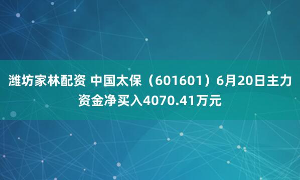 潍坊家林配资 中国太保（601601）6月20日主力资金净买入4070.41万元