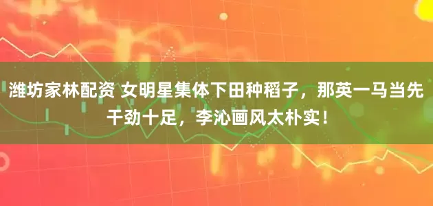 潍坊家林配资 女明星集体下田种稻子，那英一马当先干劲十足，李沁画风太朴实！